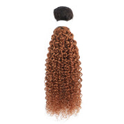Brazilian Kinky Curly Human Hair Bundles T1B/27 Ombre Colored 100% Human Hair Weave Bundles Remy Hair Extension 1/3 Bundle Deals